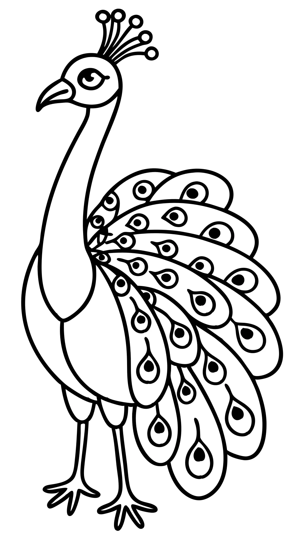 easy peacock coloring pages